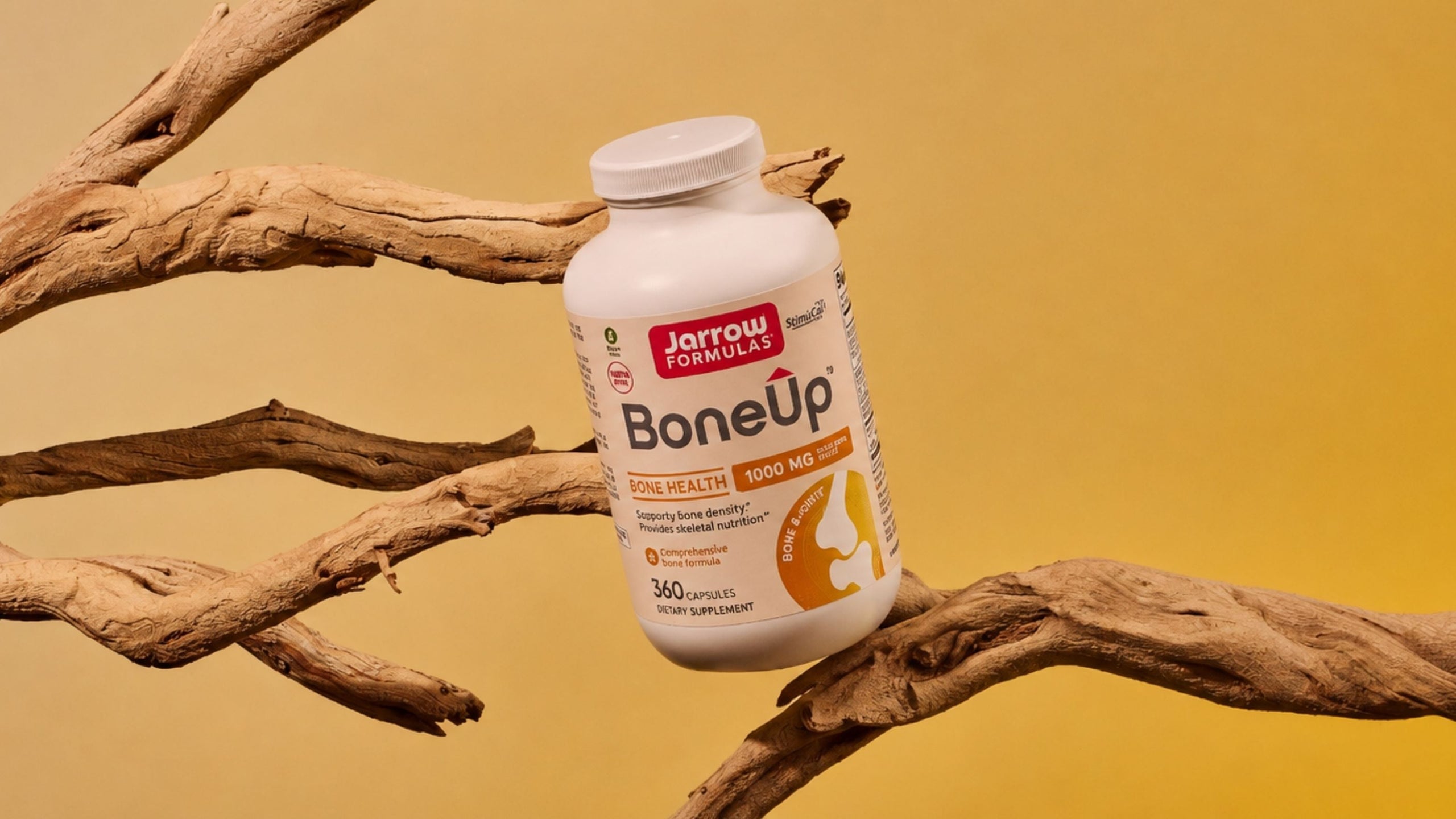 Bone-Up Reference Guide
