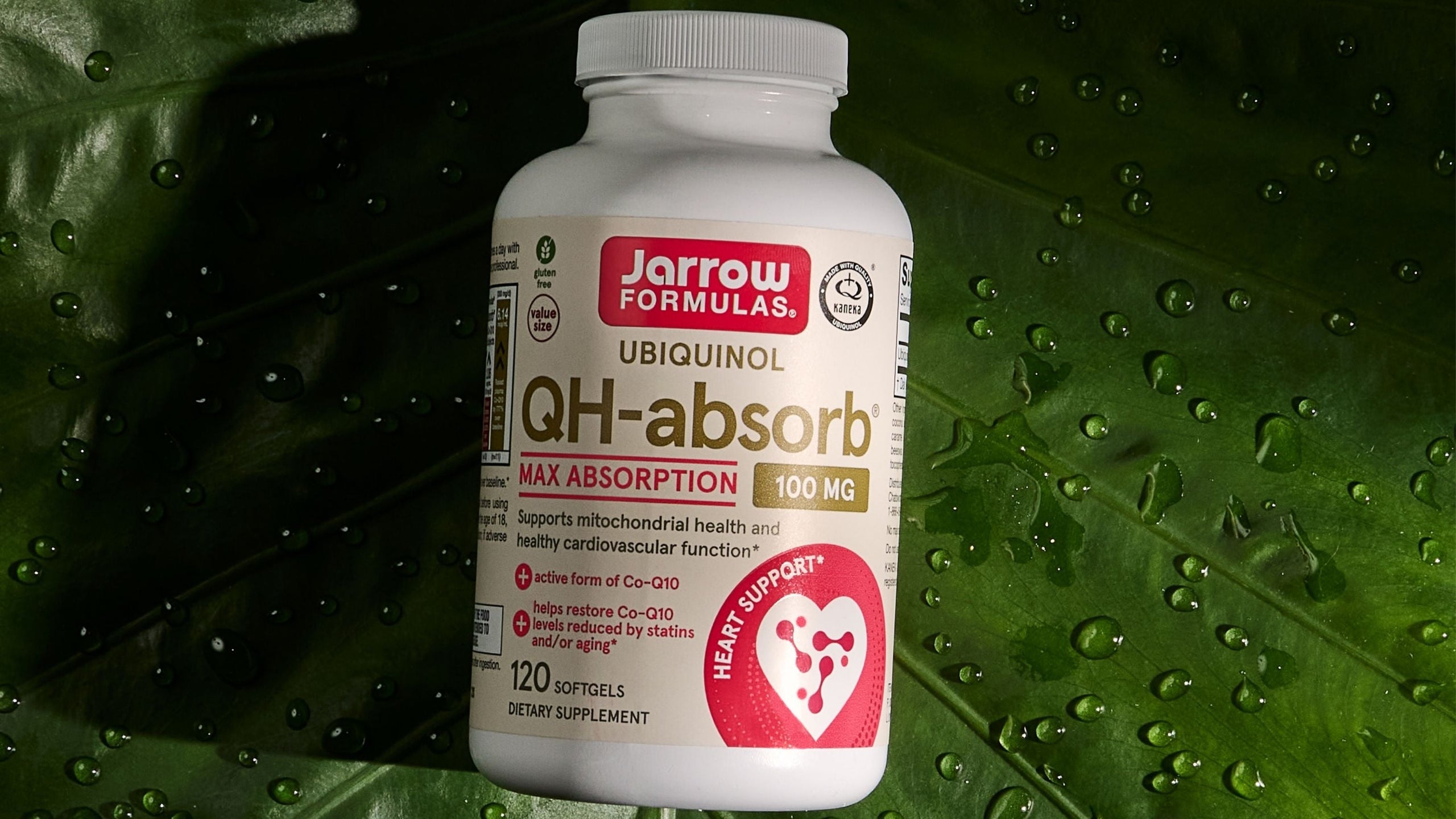 QH-absorb Reference Guide