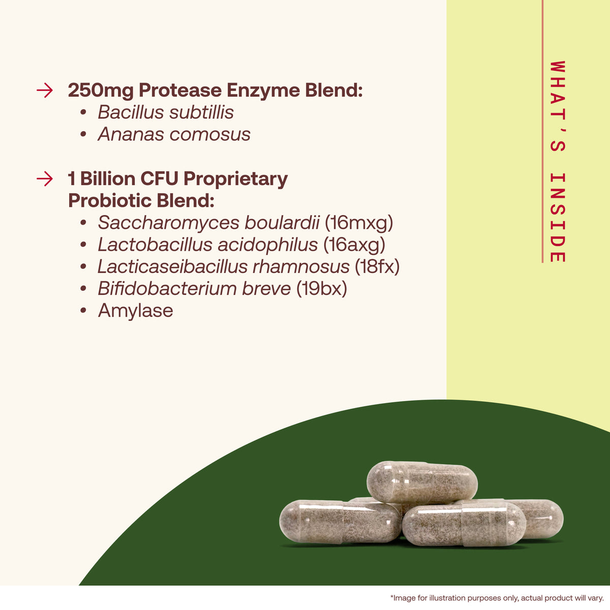 Gut & Protein Optimizer