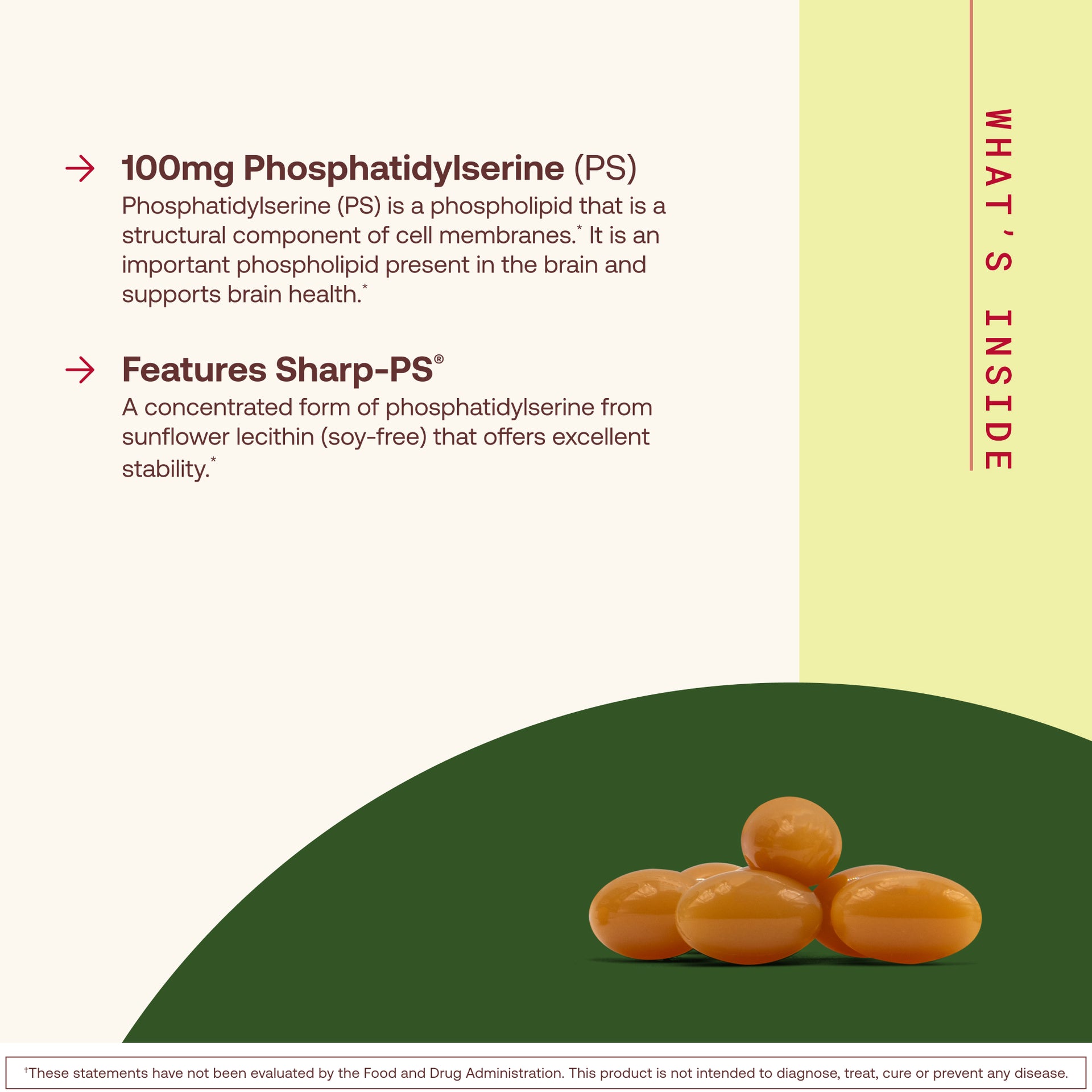 PS 100 - 100mg Softgels