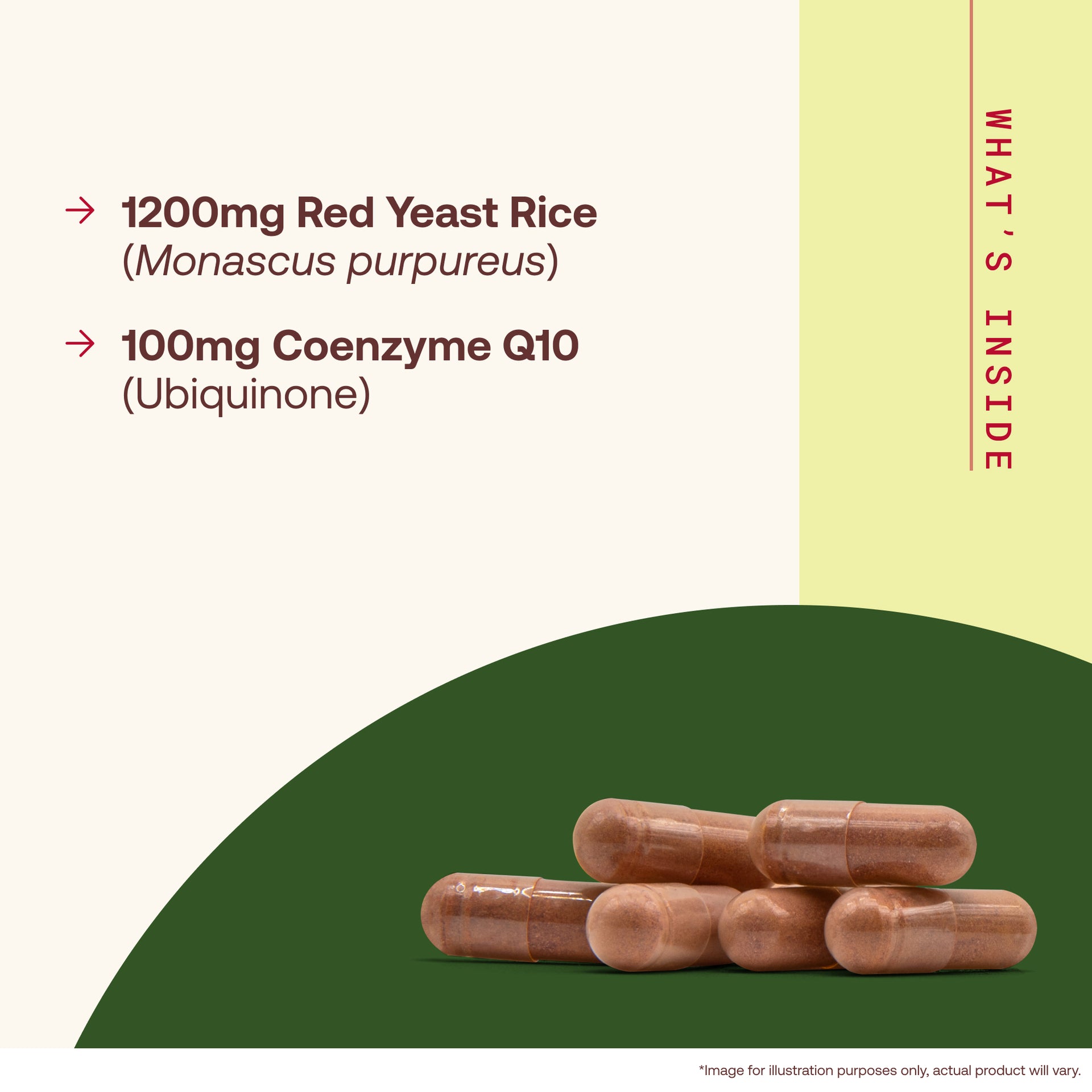 Red Yeast Rice