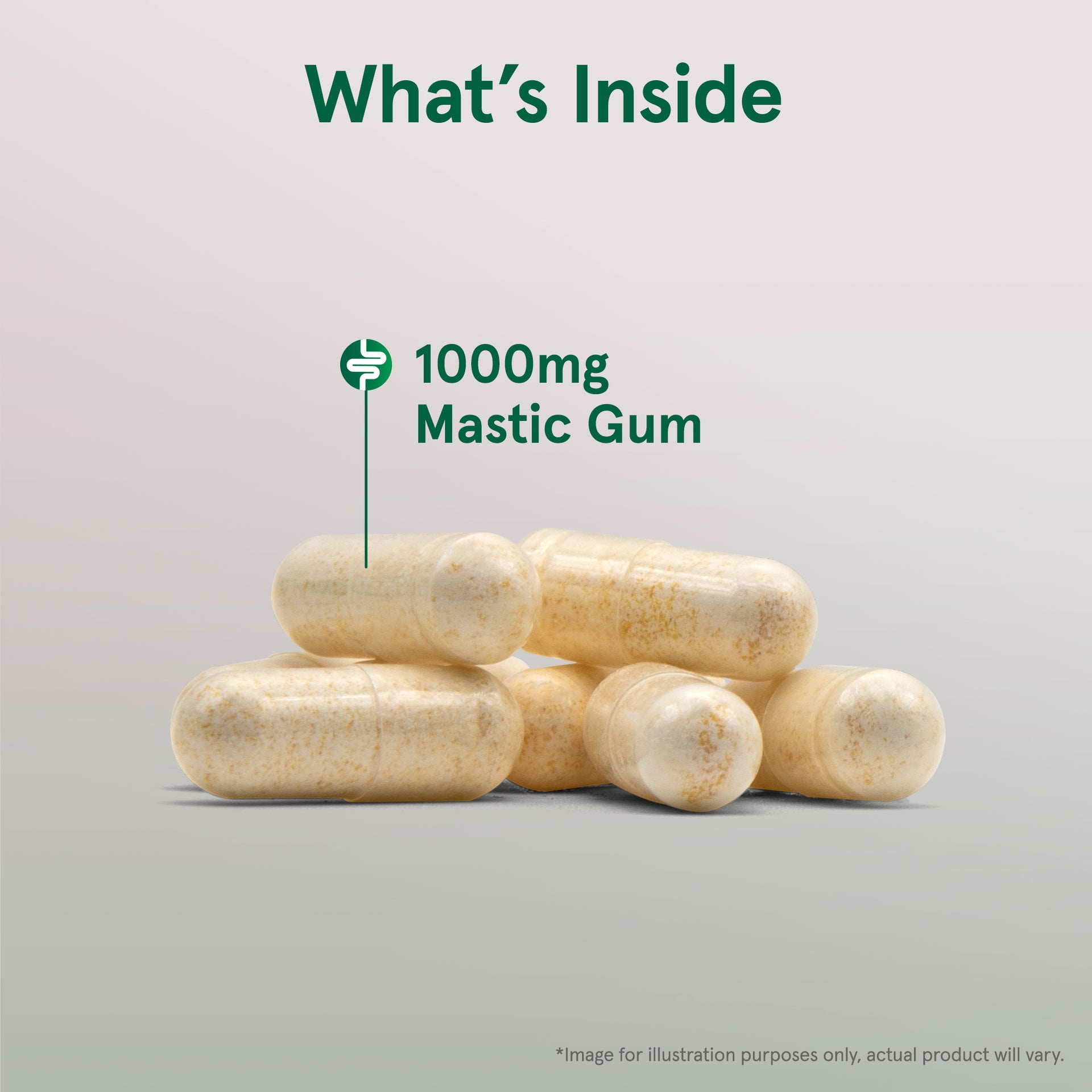 Mastic Gum