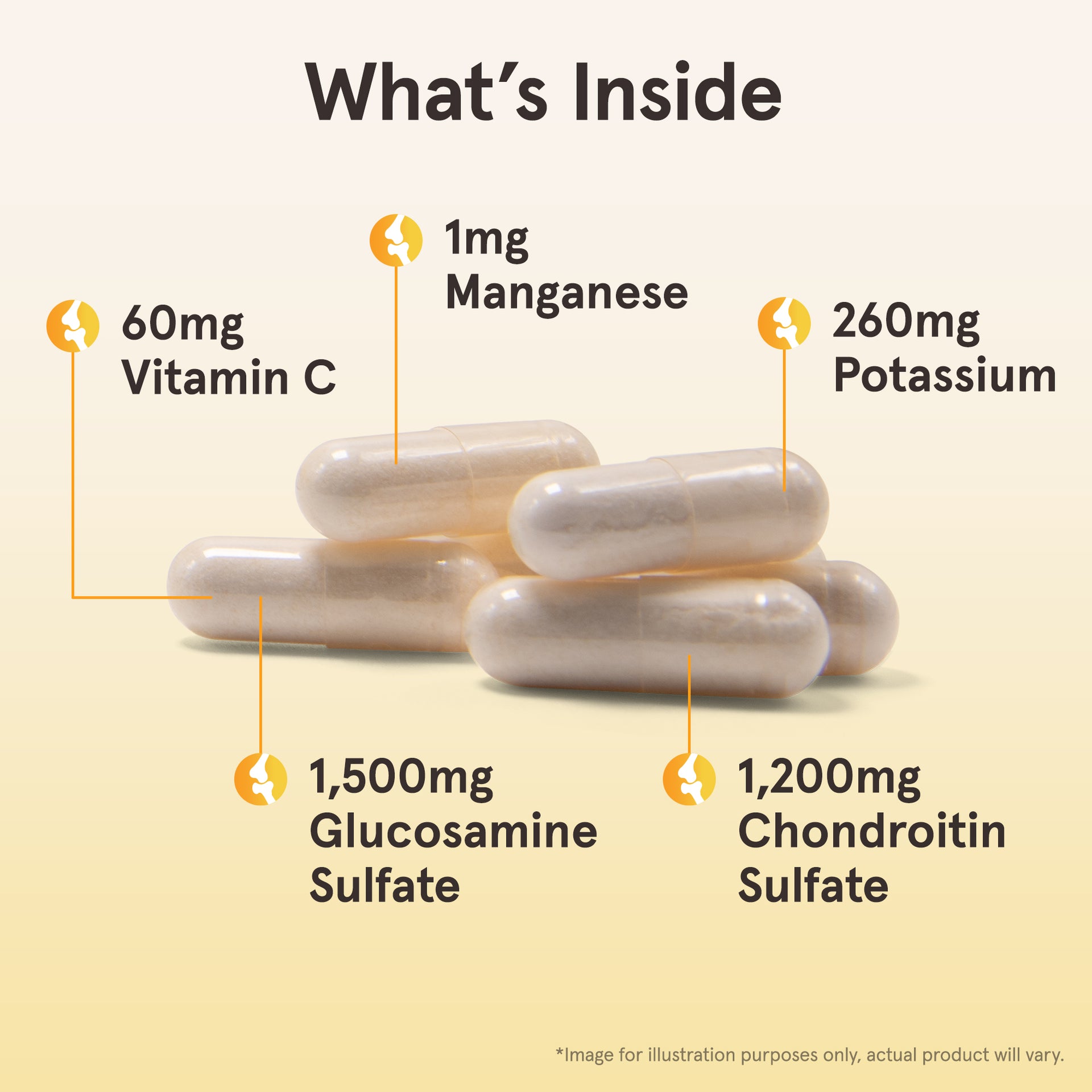 Glucosamine + Chondroitin