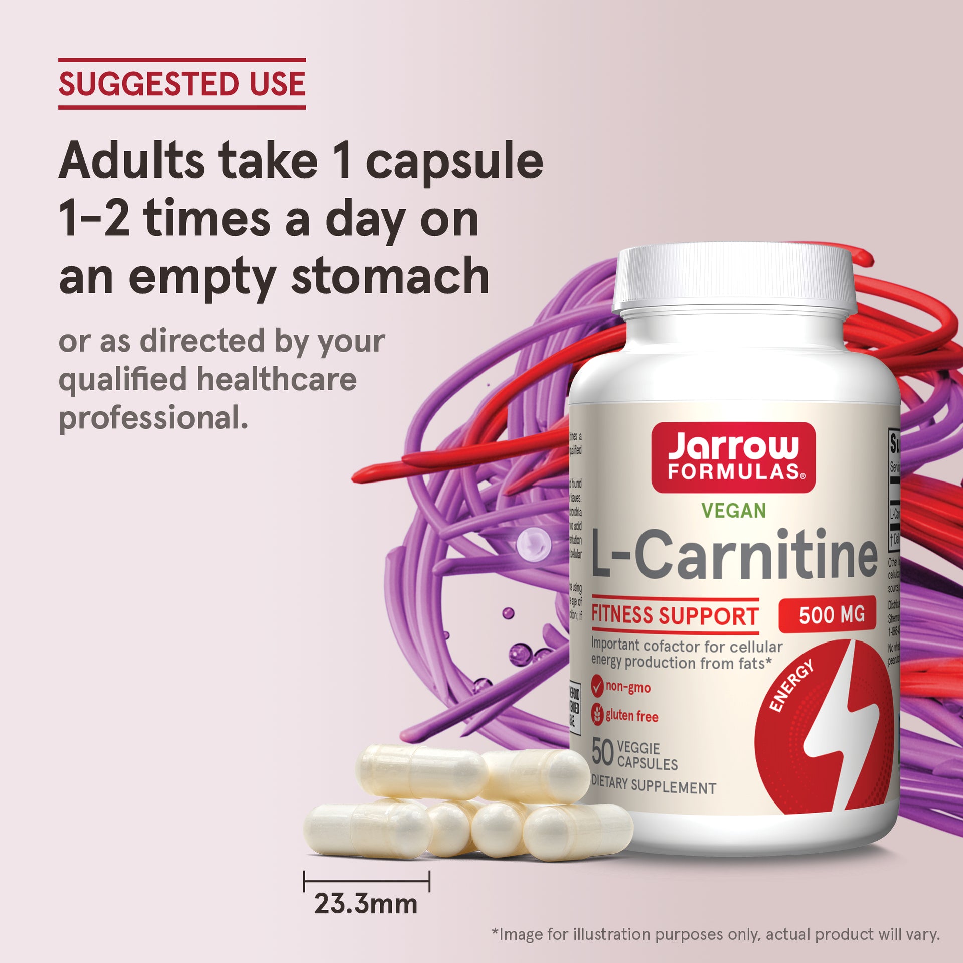 L-Carnitine - 500mg Veggie Capsules