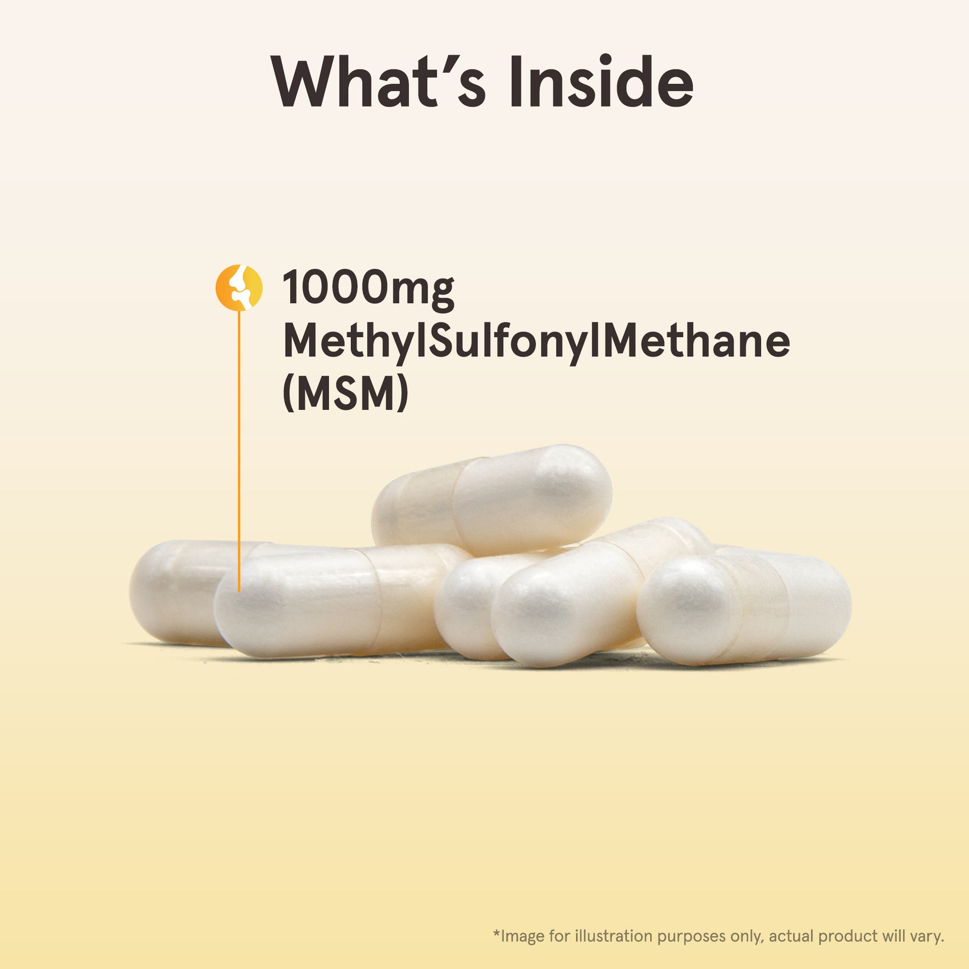 MSM - 1000mg Veggie Capsules