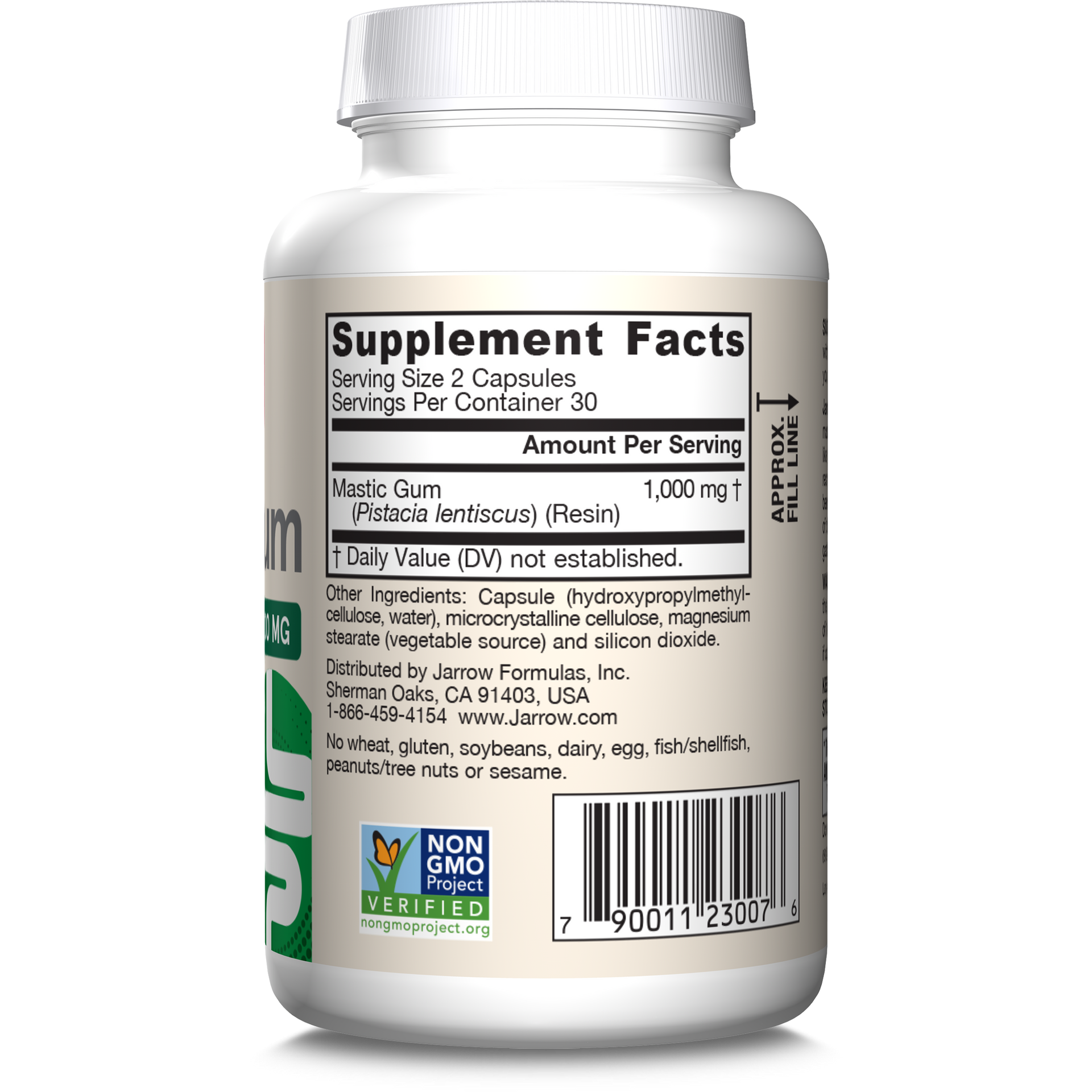Mastic Gum