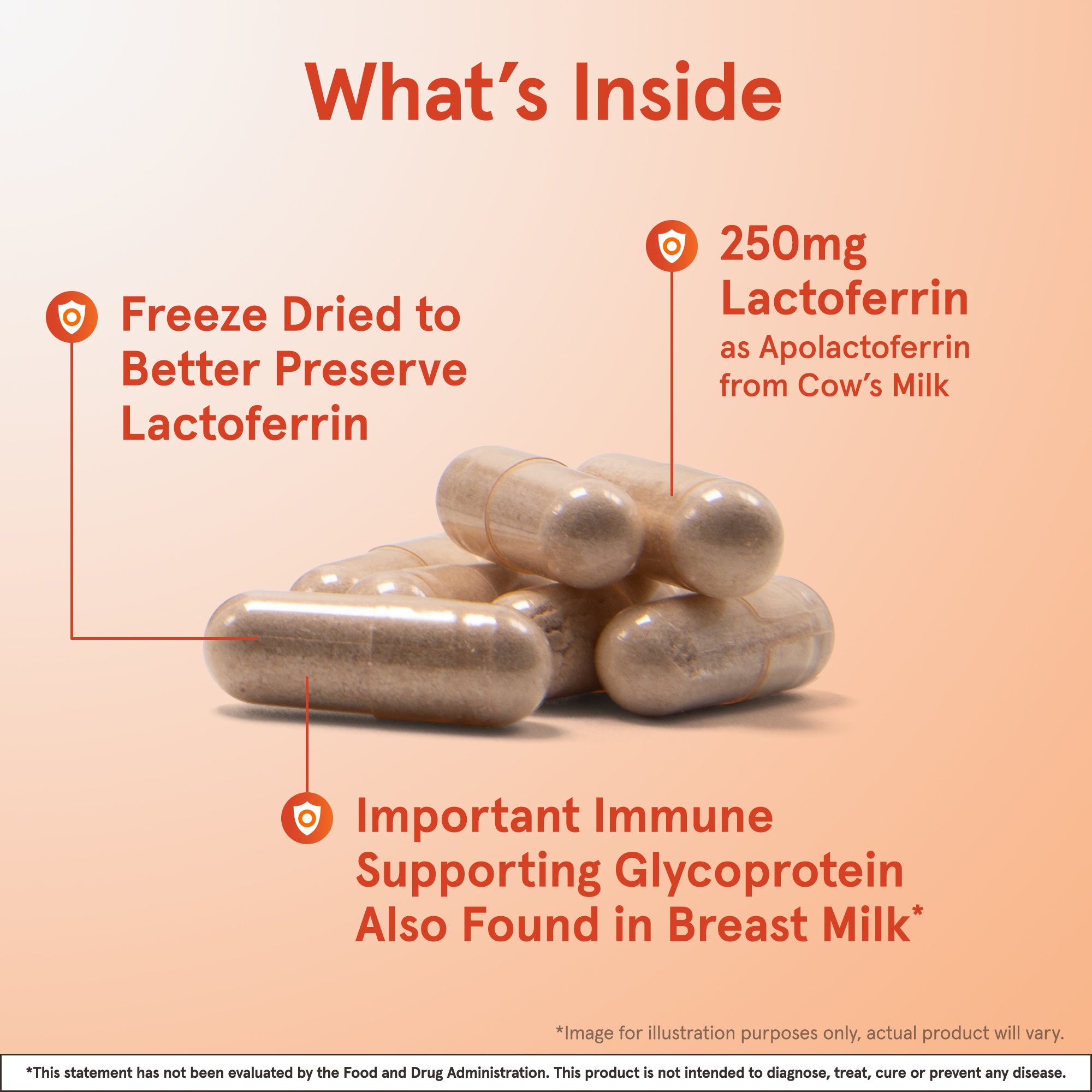 Lactoferrin 250 mg for Immune Support | Jarrow Formulas