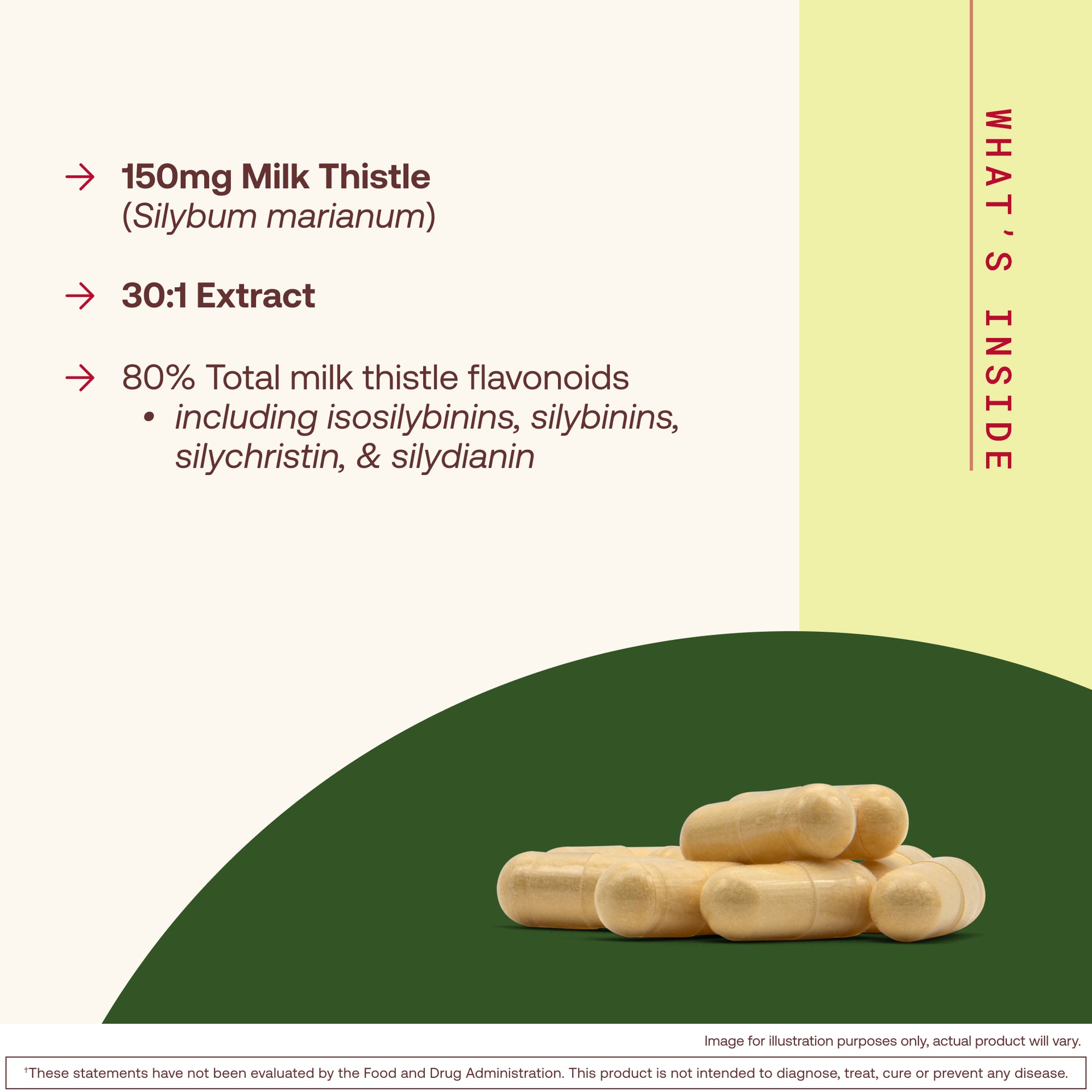 Milk Thistle Silymarin