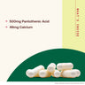 Pantothenic Acid B5 (2-Pack)