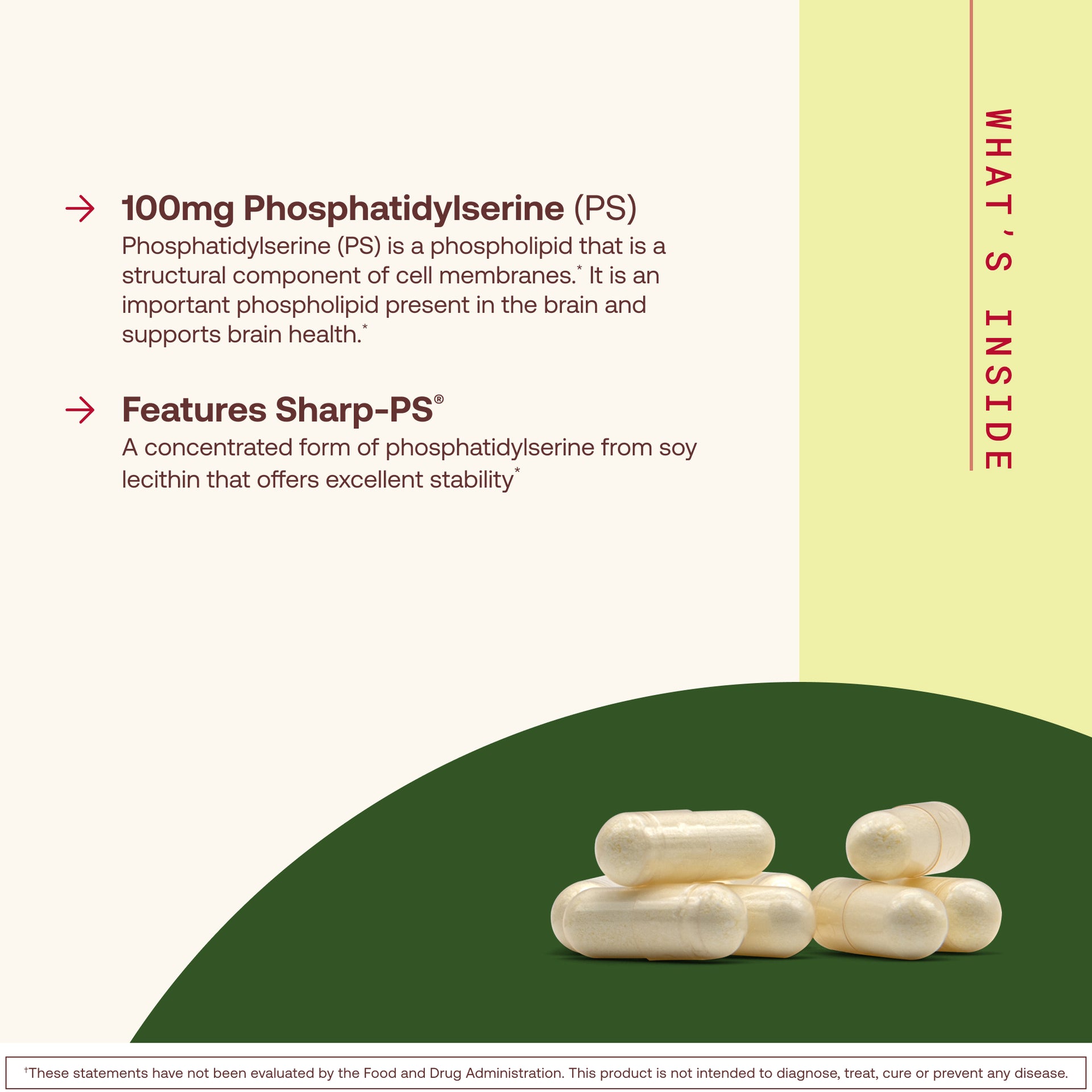 PS 100 - 100mg Capsules
