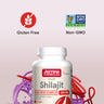 Shilajit Fulvic Acid Complex