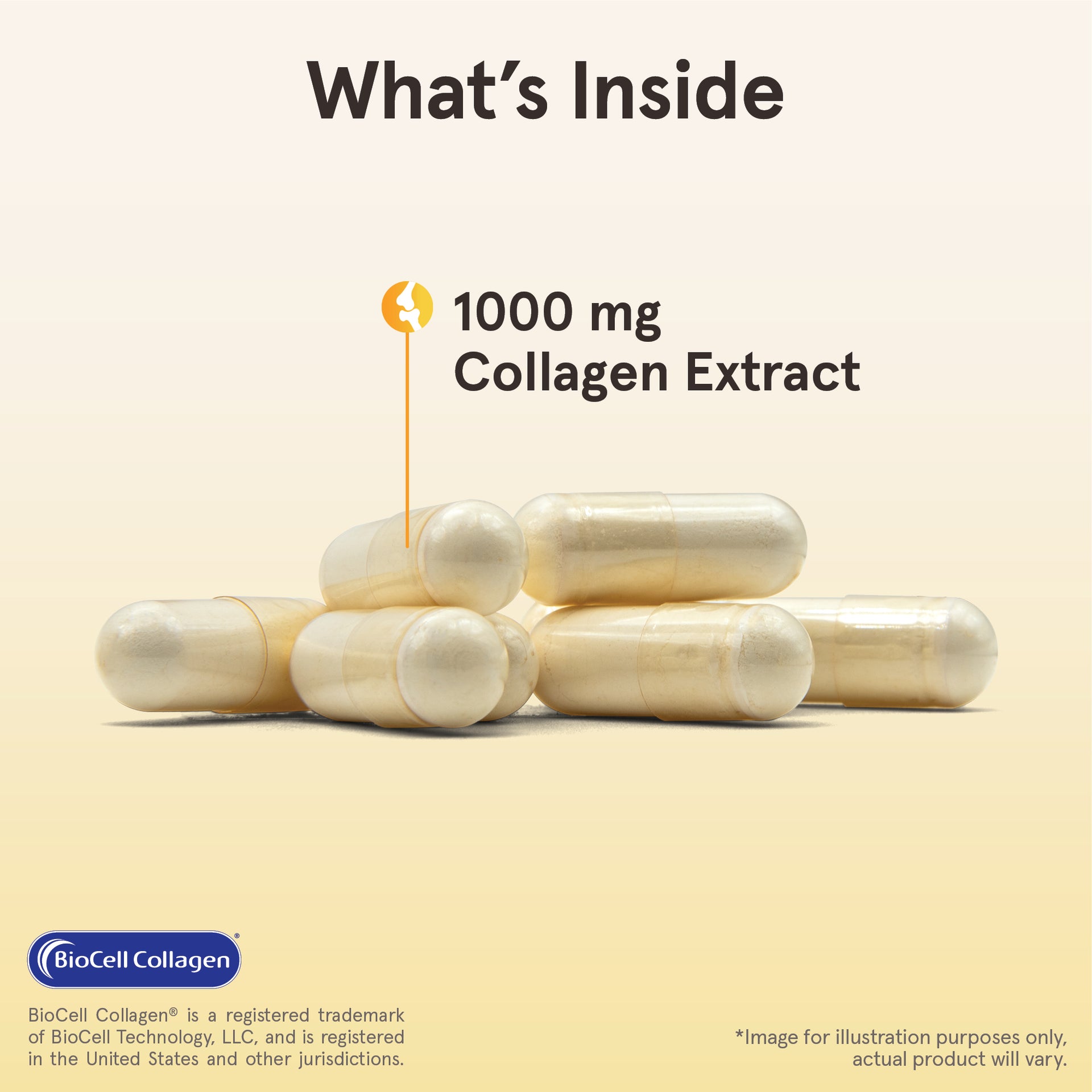 Type II Collagen Complex