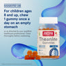 Theanine Gummies