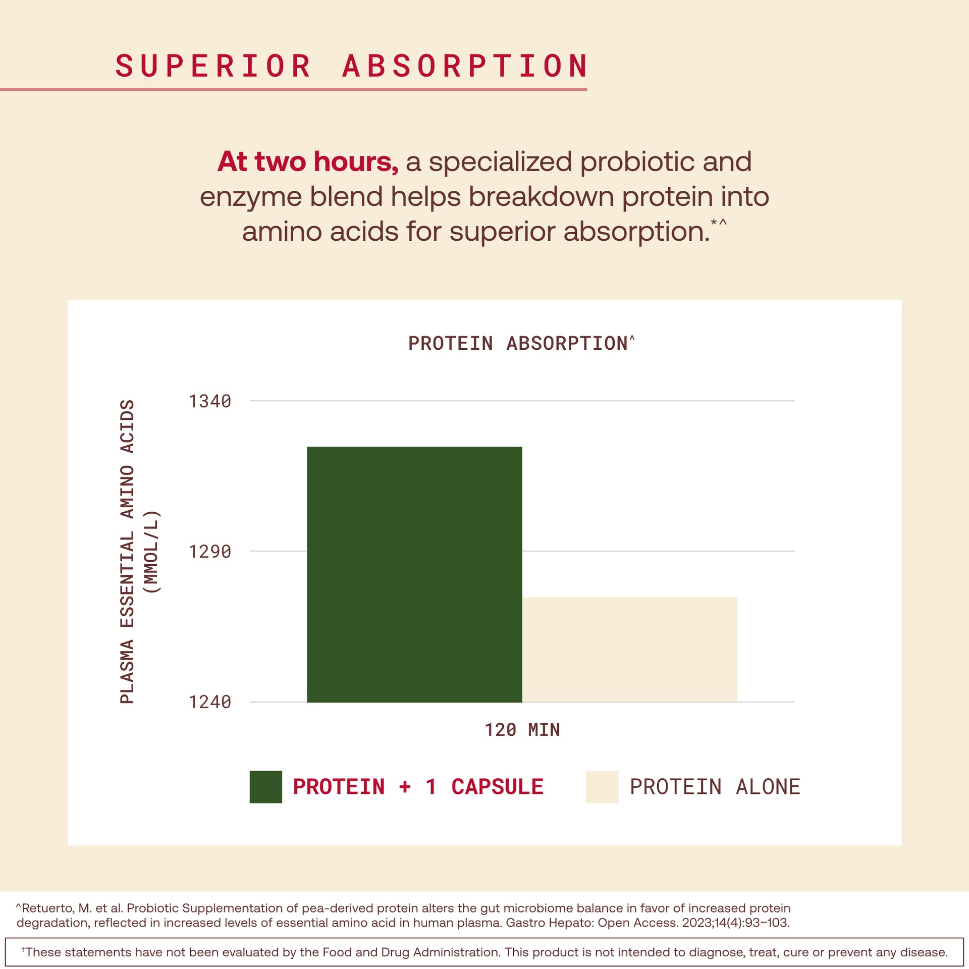 A comparison bar chart titled 'PROTEIN ABSORPTION' on a light beige background. A dark green bar labeled 'PROTEIN + 1 CAPSULE' is taller than a pale beige bar labeled 'PROTEIN ALONE,' with text above describing enhanced protein breakdown and absorption at two hours.