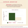 A comparison bar chart titled 'PROTEIN ABSORPTION' on a light beige background. A dark green bar labeled 'PROTEIN + 1 CAPSULE' is taller than a pale beige bar labeled 'PROTEIN ALONE,' with text above describing enhanced protein breakdown and absorption at two hours.