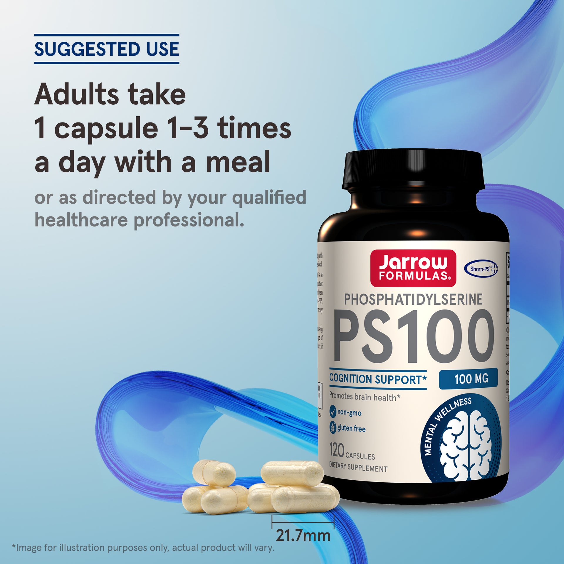 PS 100 - 100mg Capsules
