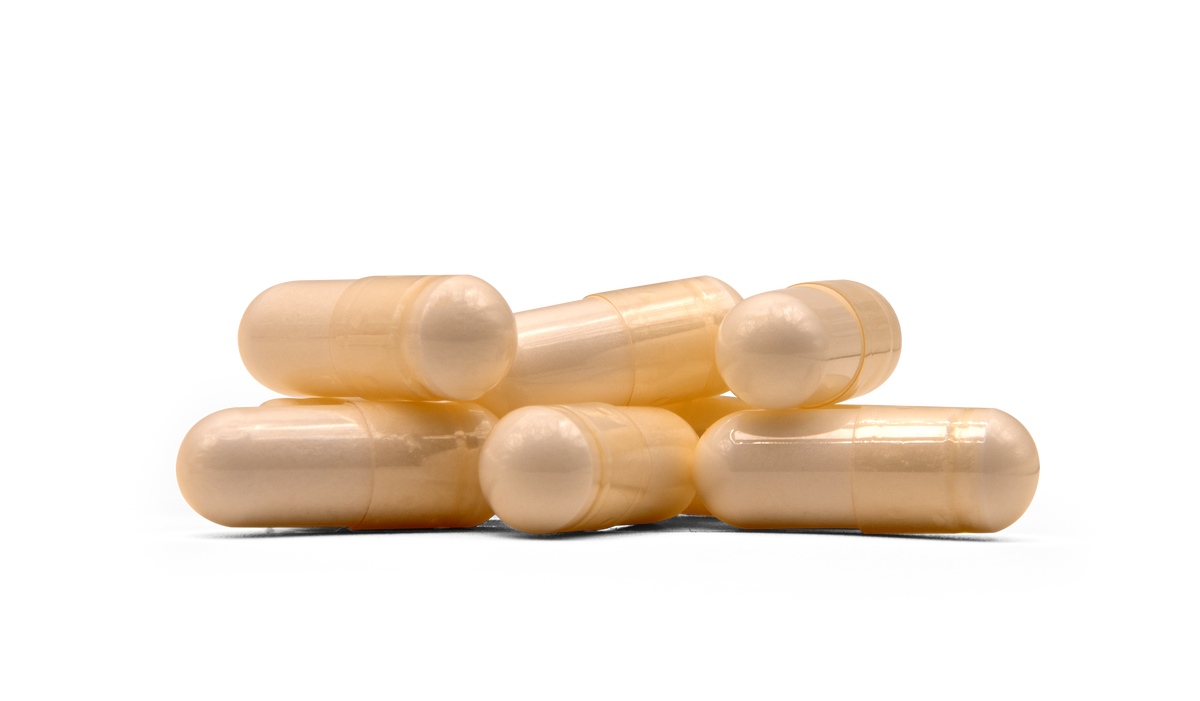 Acetyl L-Carnitine 500 mg ACE