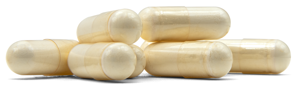 Type II Collagen Complex COLLAGEN