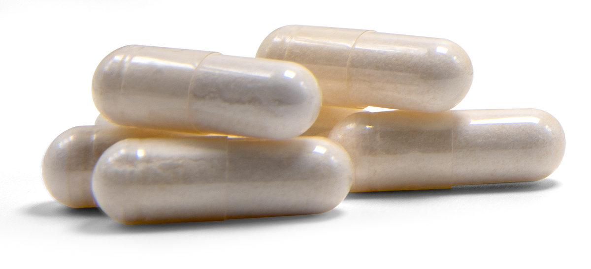 Glucosamine + Chondroitin + MSM GCM240