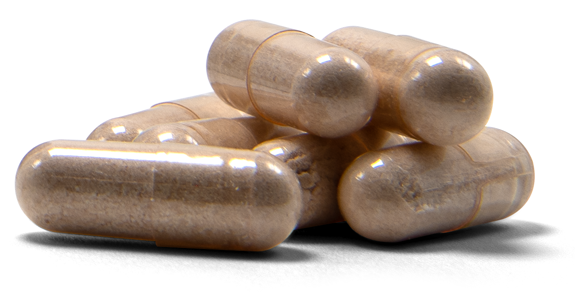 Lactoferrin LACFE30