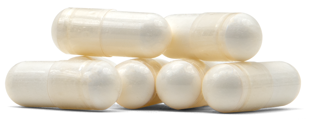 L-Carnitine - 500mg Veggie Capsules 500LC