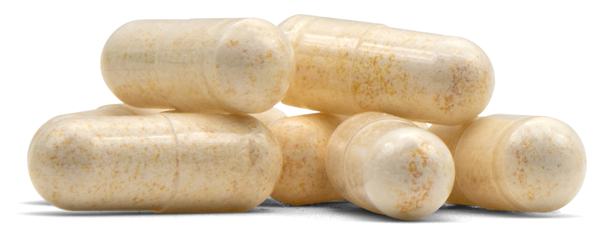 Mastic Gum MGUM