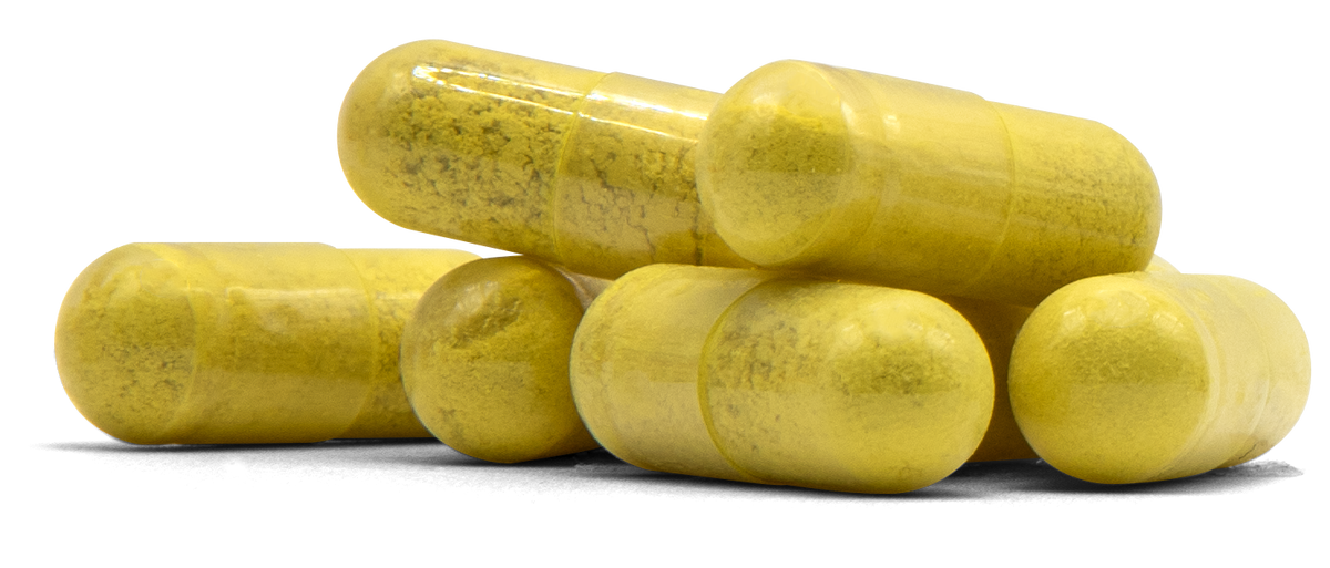 Quercetin QUER