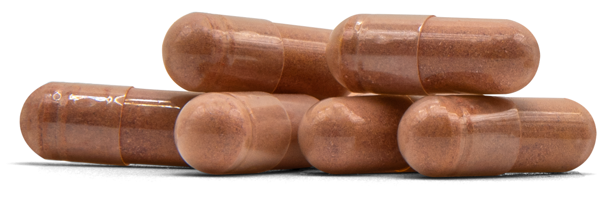 Red Yeast Rice RYR