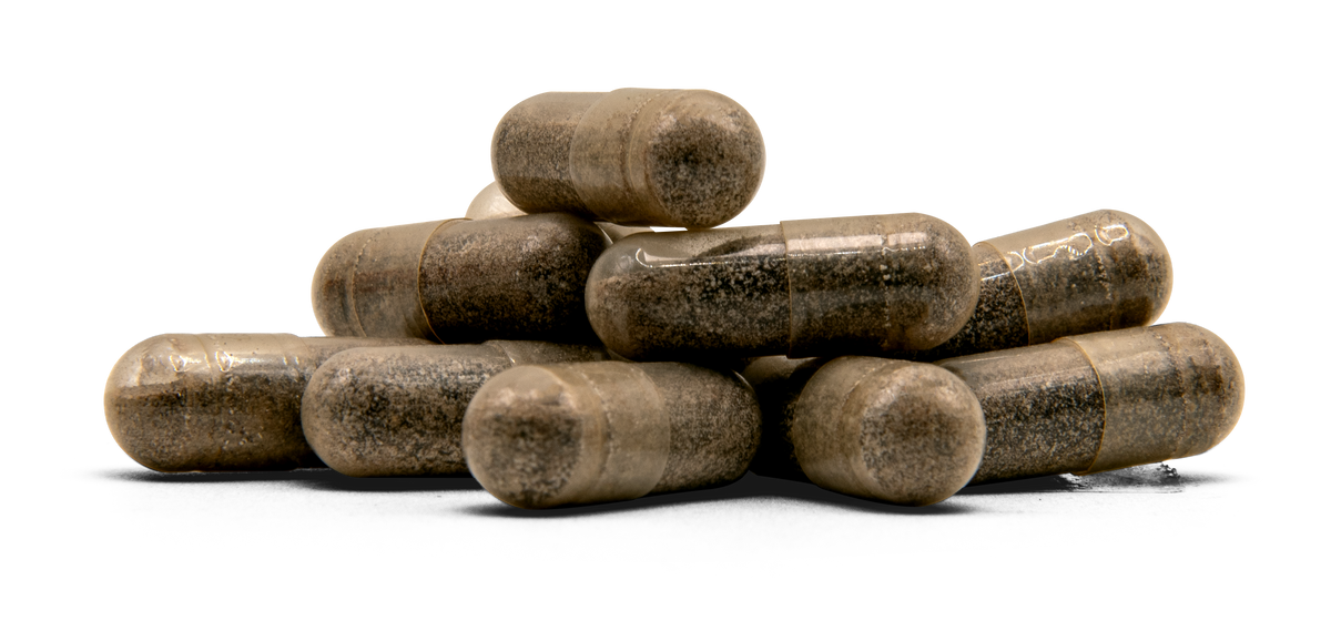 Shilajit Fulvic Acid Complex SHIL60