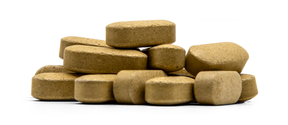 Wild Bitter Melon Extract WBM