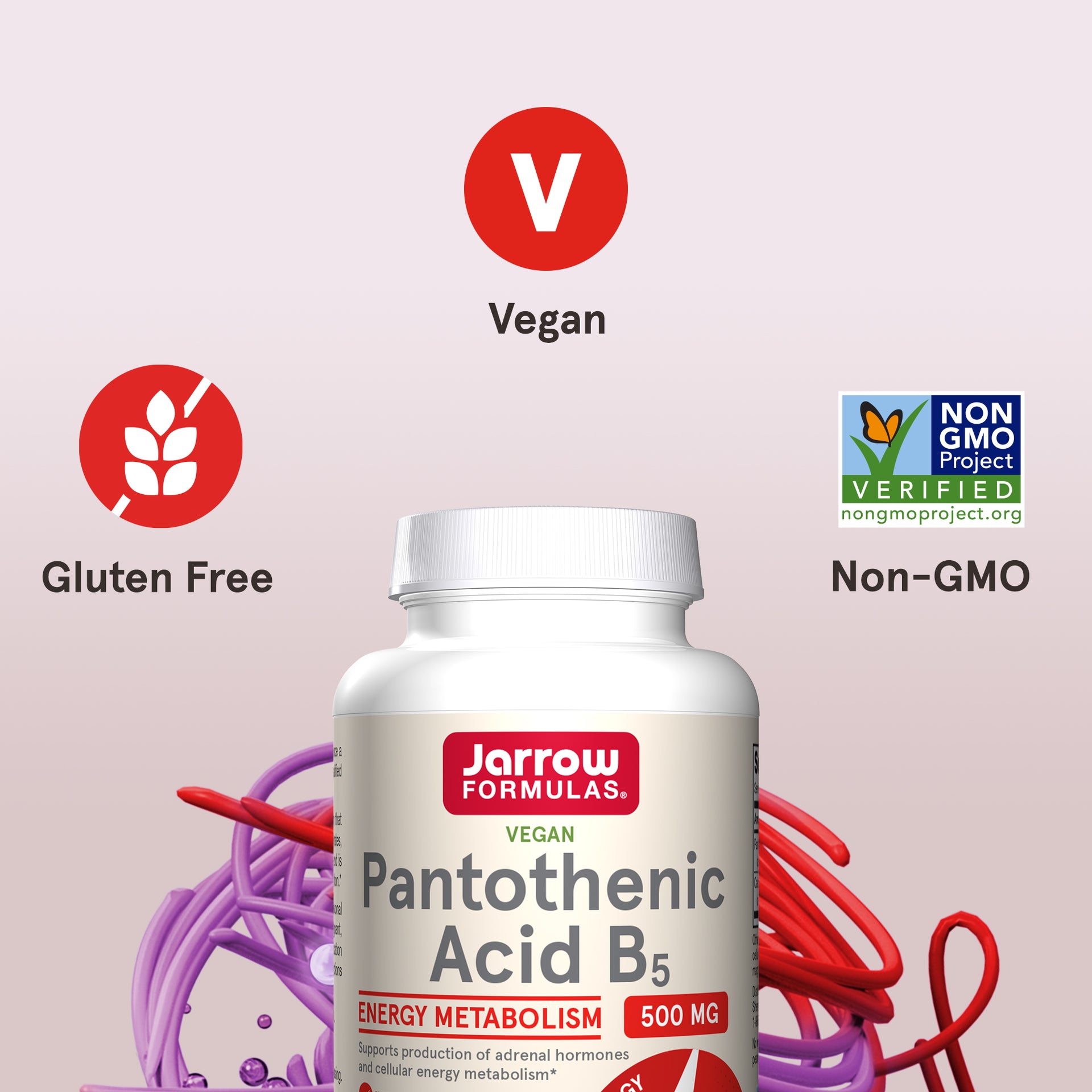 Pantothenic Acid B5 (2-Pack)