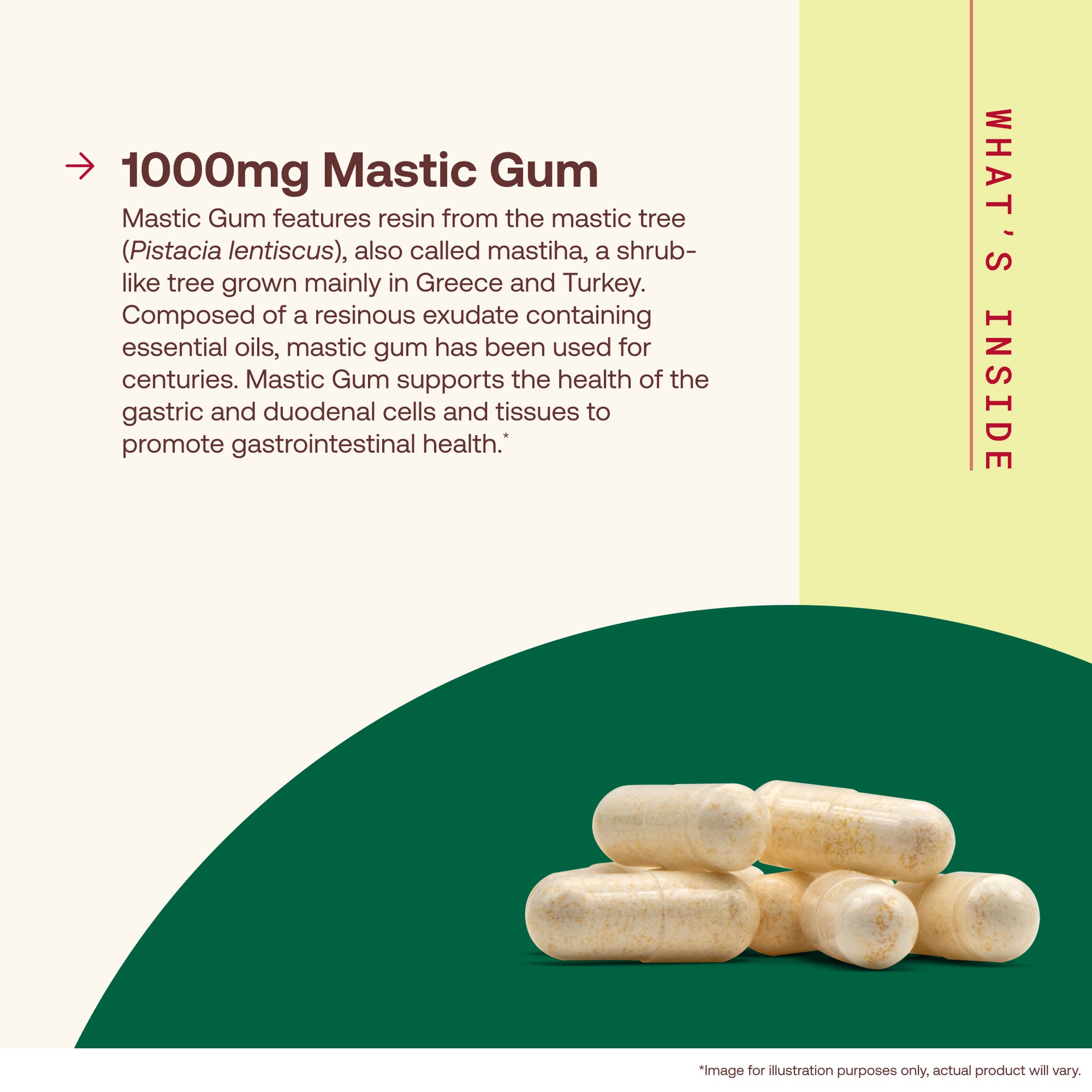 Mastic Gum