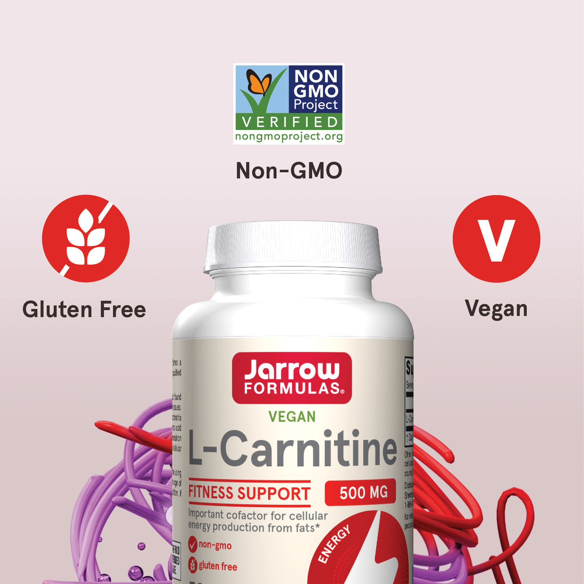 l carnitine 500 tablet L-Carnitine, 500 mg Veggie Capsules