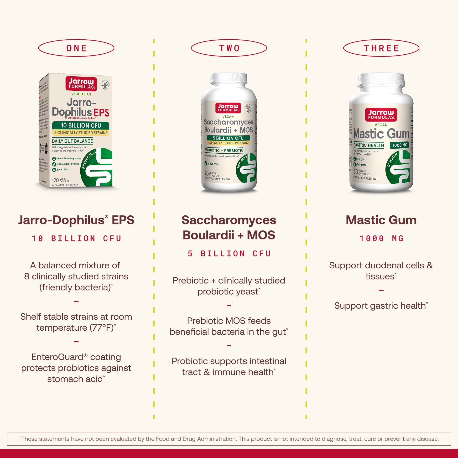 Mastic Gum