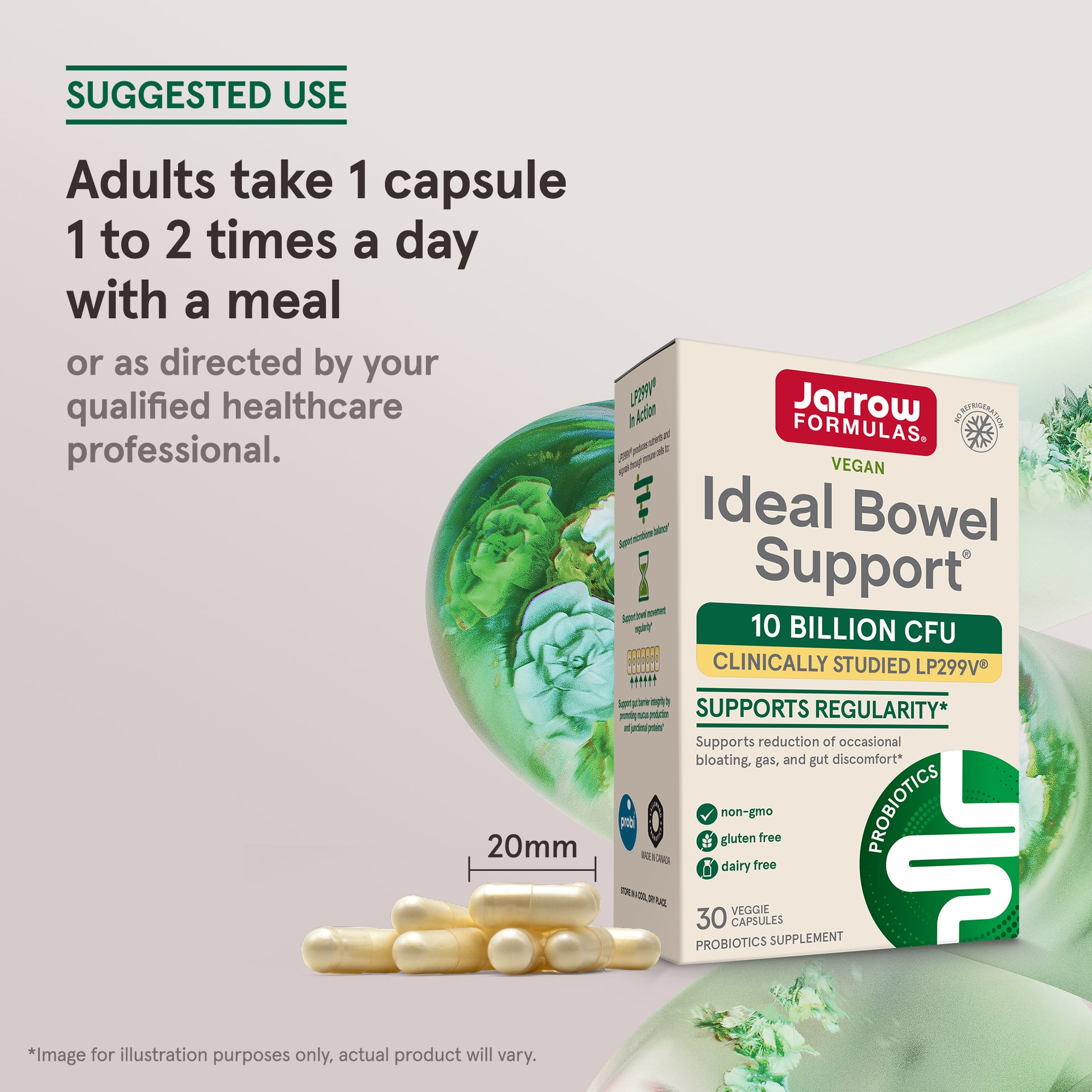 Ideal Bowel Support® LP299V®