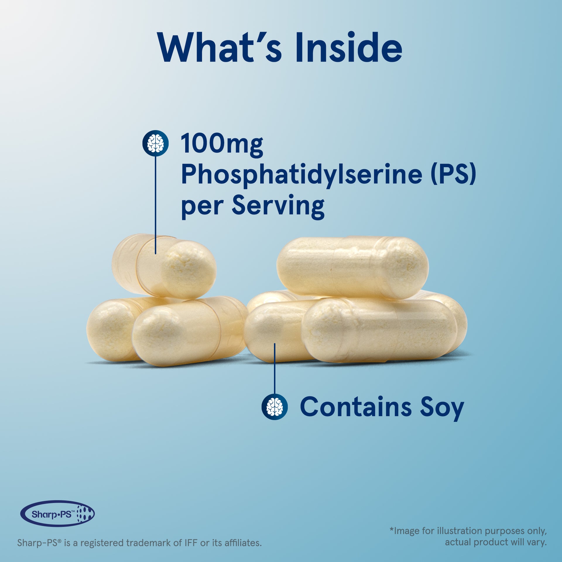 PS 100 - 100mg Capsules