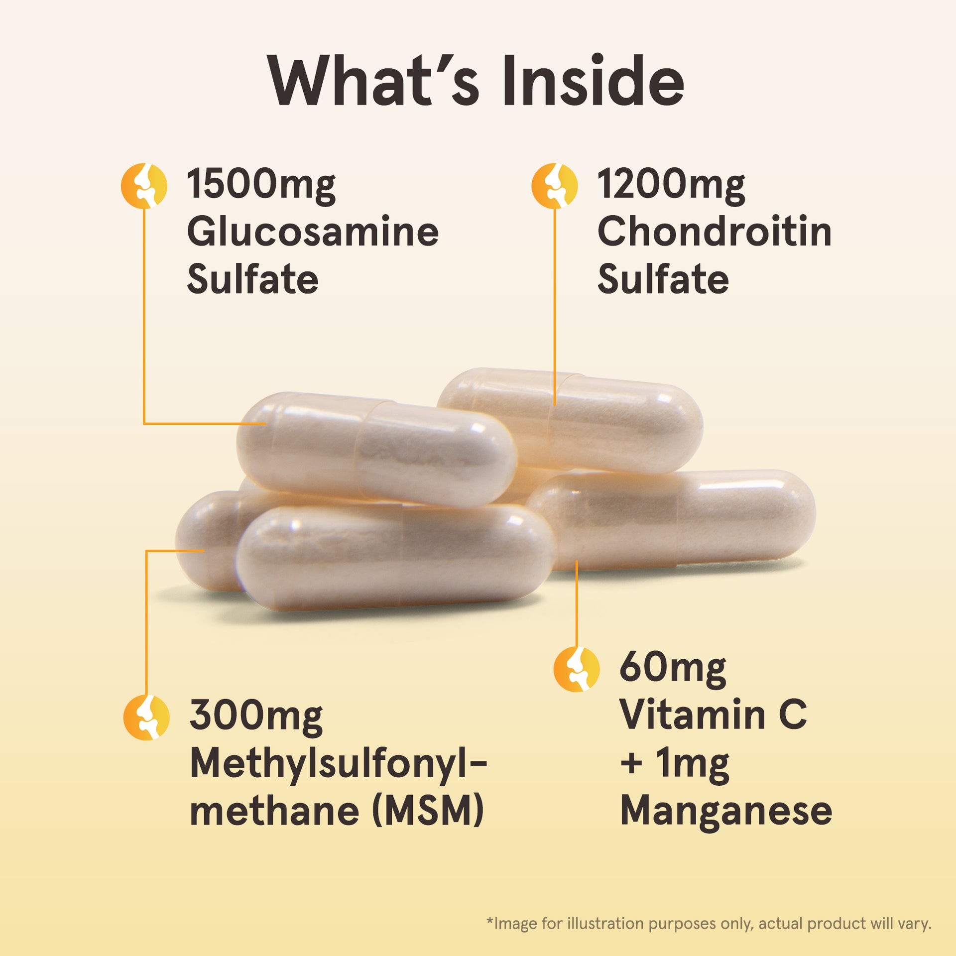 Glucosamine + Chondroitin + MSM