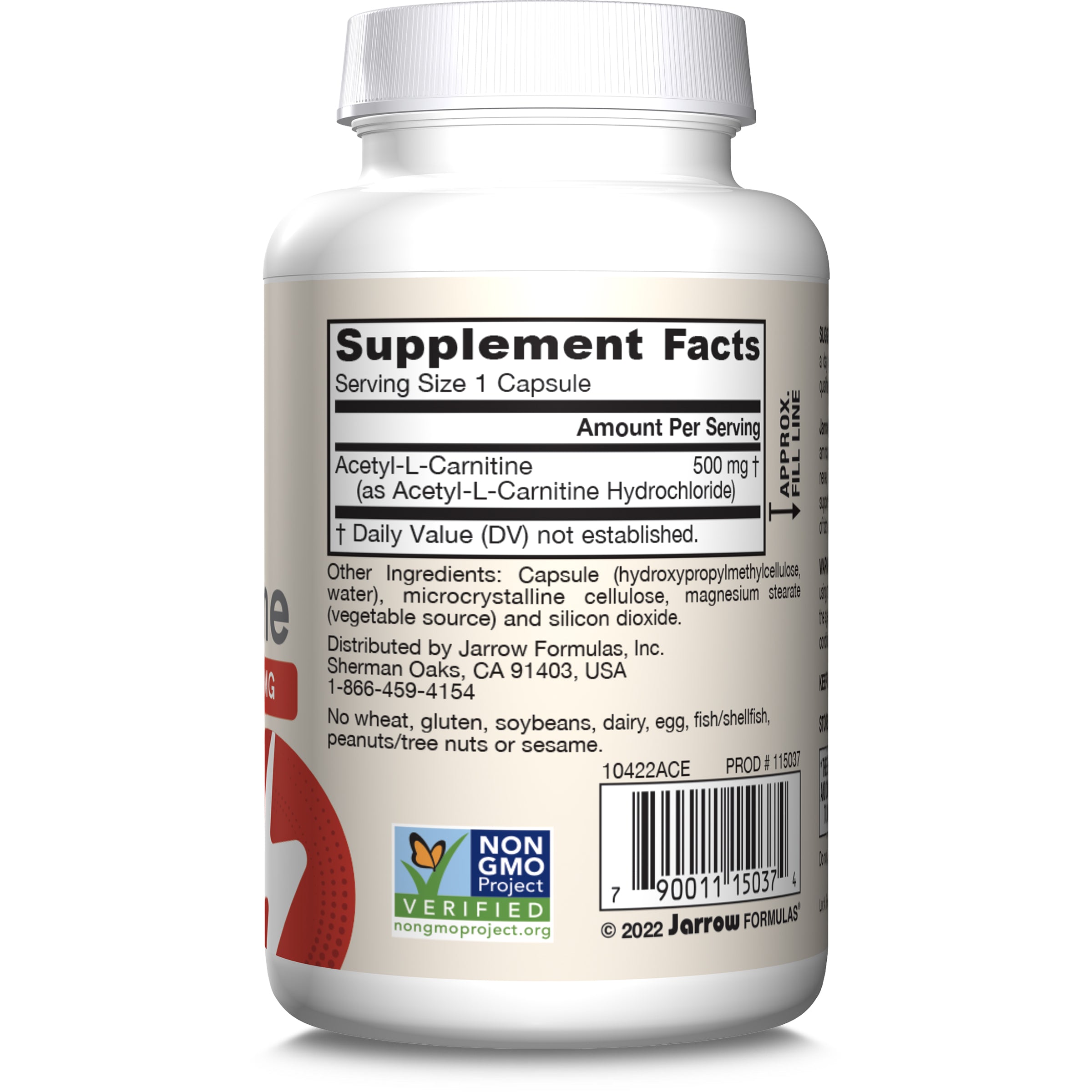 Acetyl L-Carnitine 500 mg for Brain & Energy | Jarrow Formulas