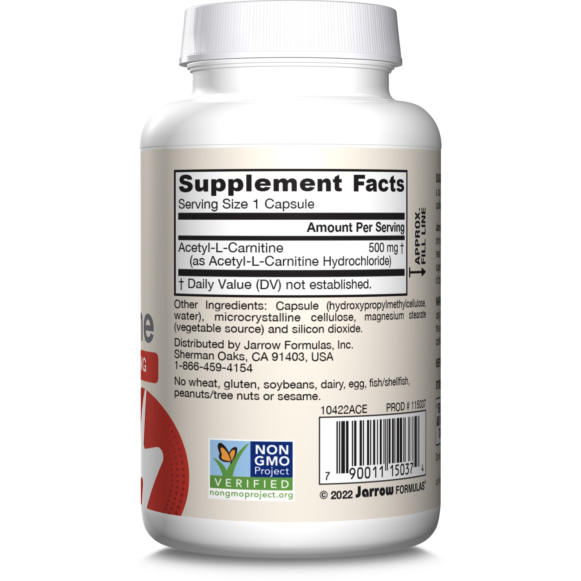Acetyl L-Carnitine 500 mg