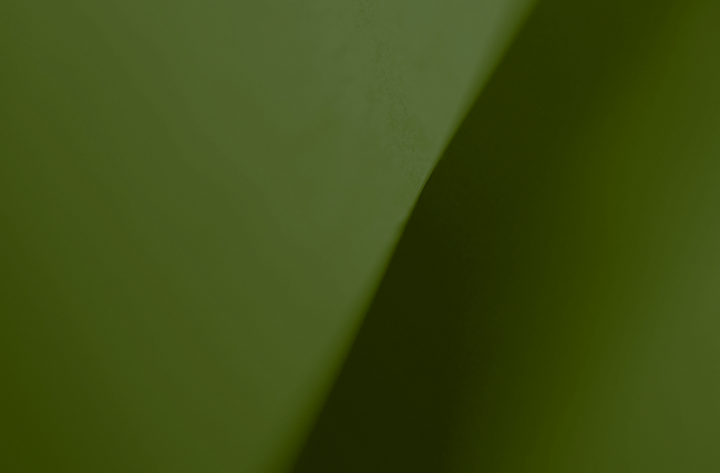 pexels karola g 4040655 1 2
